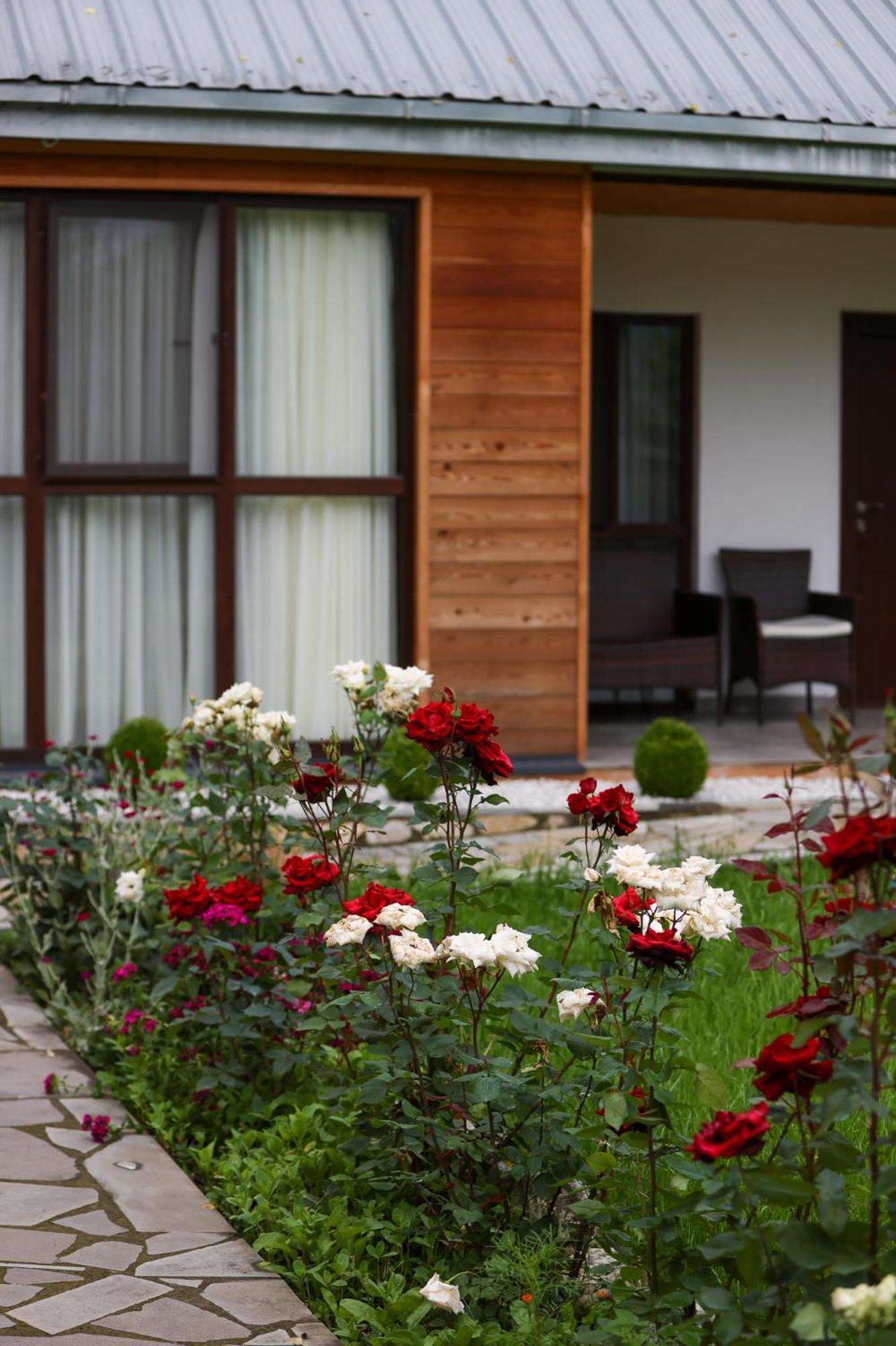 Alvani Inn K'vemo Alvani Buitenkant foto