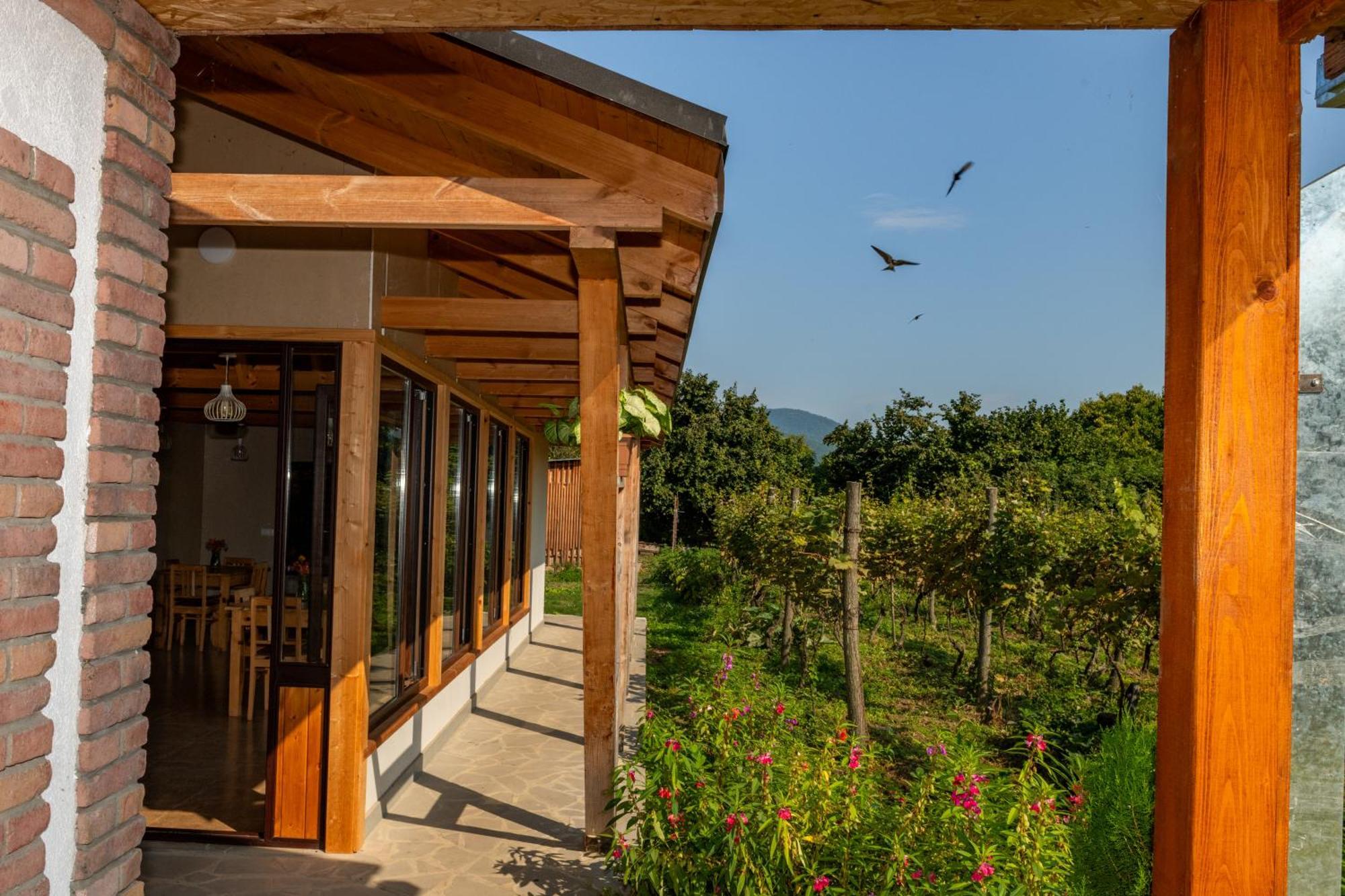 Alvani Inn K'vemo Alvani Buitenkant foto